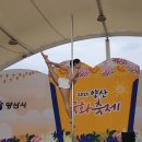 웰빙댄스(초급) | ( 양산 / 증산 / 물금 ) 두잇 폴댄스 - 버스킹