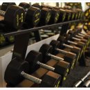 테일러 짐 이미지