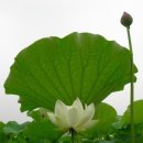너에게반하다 - 파주시 | 너에게반하다
