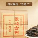 진운상회