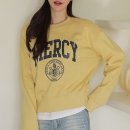 세미폭스 이미지