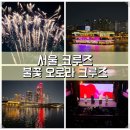 불꽃 | 여의도 한강 유람선 서울크루즈 불꽃 오로라 후기 할인 예약 주차