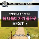꿈의숲안경 이미지