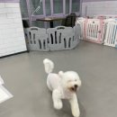 맡겨보개 이미지