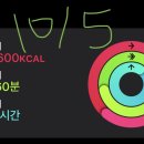 오엠지 이미지