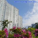 황금나무 공인중개사사무소 이미지