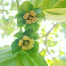 자연목장 이미지