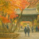 수덕사근역성보관 | 소금강의 가을 단풍길, 수덕사에서 만나는 천년의 정취