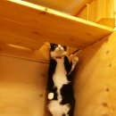 호텔레오 이미지