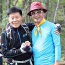 분당-383 이미지