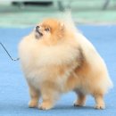 에버노블 이미지