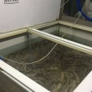 기장짚불곰장어 이미지