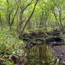 판상농장 이미지