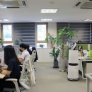 뉴퍼스트 이미지