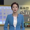 진영보일러 이미지