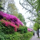 두댐이공원 화장실 이미지