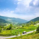 그린샷스크린골프연습장 이미지