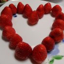 오늘은봄날 이미지