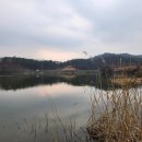 대미당