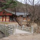 용연사 Daum카페