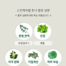 션스킨케어 이미지