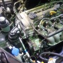 장일카센타 이미지