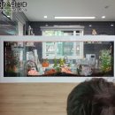 양평수족관