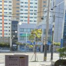 통영 해물해장국 이미지