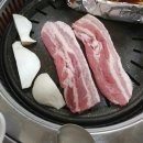 수정식당 Daum카페