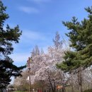 더 제일약국 이미지