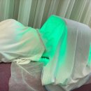 백령로 | 춘천 ‘뷰티오로라엘’ 본점 천연왁스 비에라 브라질리언 왁싱 후기! 저자극 저통증! 나현원장님 시술