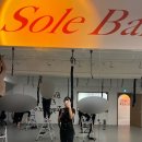 요가소도구필라테스D 이미지