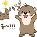 태성세차장 이미지