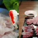 토모루 이미지