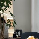 카페폰단트