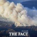 베버리힐스 이미지