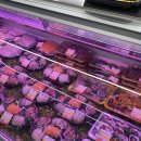 우돈회 | 만수동정육식당_우돈식당