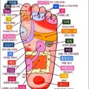 #️⃣주변 사람들에게 너무 잘해주지 마라&#39;~✴쇼펜하우어가 말하는 인간관계 처세술&#34; 이미지