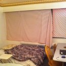 다운타운360불YMCA걸어서 3분거리 리빙쉐어룸룸메구해요~[1/오늘이후 다 입주가능(이번달은하루5불)] 이미지