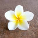 불로사우나 이미지