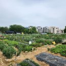 월암농장 이미지