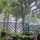 2025.05.18.- ‘부활절다섯째주일’예배순서 이미지