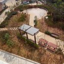 에벤에셀 뉴스파고