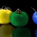 성공식당 이미지