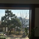구유림7