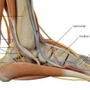 드림정형외과의원 이미지