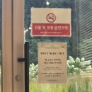 프레이밍 - 마포구 독막로19길 12 | 청주 프레이밍 수국 만발한 인생샷 카페 후기