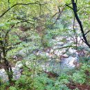 다리안 황토길 이미지