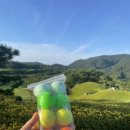 동부산로스트볼