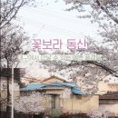 꽃보라동산 이미지